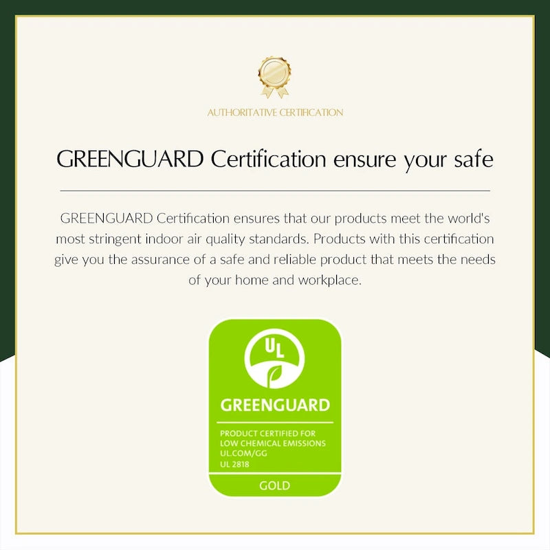 Modern velvet-cushioned armchairs with gold-tone metal legs, two-piece set.